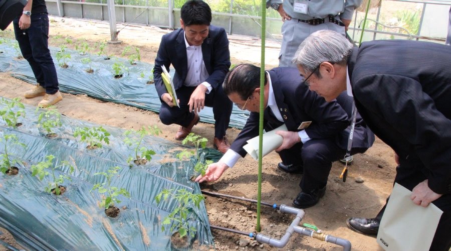 配管から水と肥料を自動的に供給している様子
＊左から、KDDI地方創生室マネージャー 福嶋様、東松島市長 渥美様、KDDIエボルバ 中澤社長