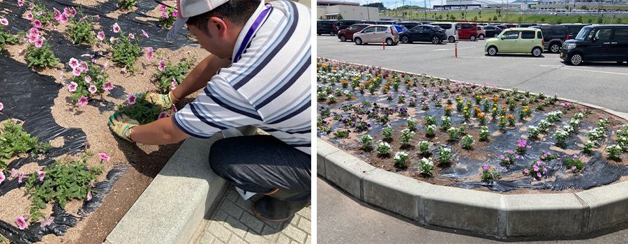 ＜そして、植栽開始！気温が30度近くになるなか、全長32.5mの花壇にお花を植栽していきます。その数、なんと1012株！約3日間かけ、グリーングループ総力を挙げて一株一株丁寧に植栽に取組みました＞