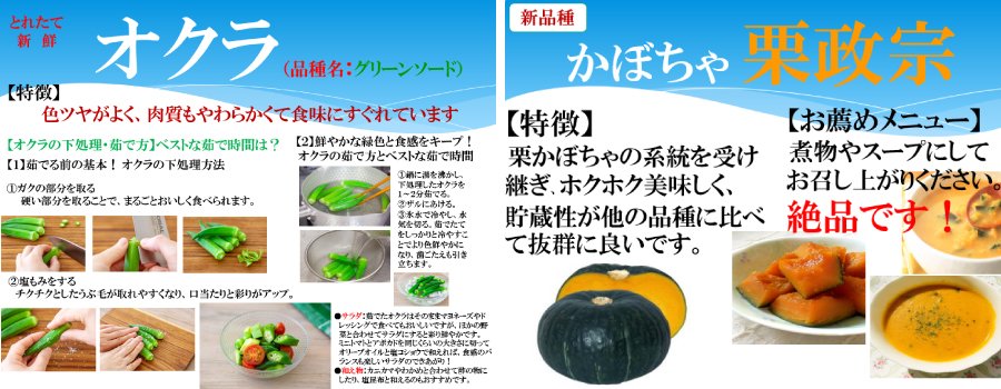 <野菜の特徴や調理における豆知識、お薦めのメニューなど、店頭POPには野菜を美味しく食べていただく沢山の情報が詰まっています！>