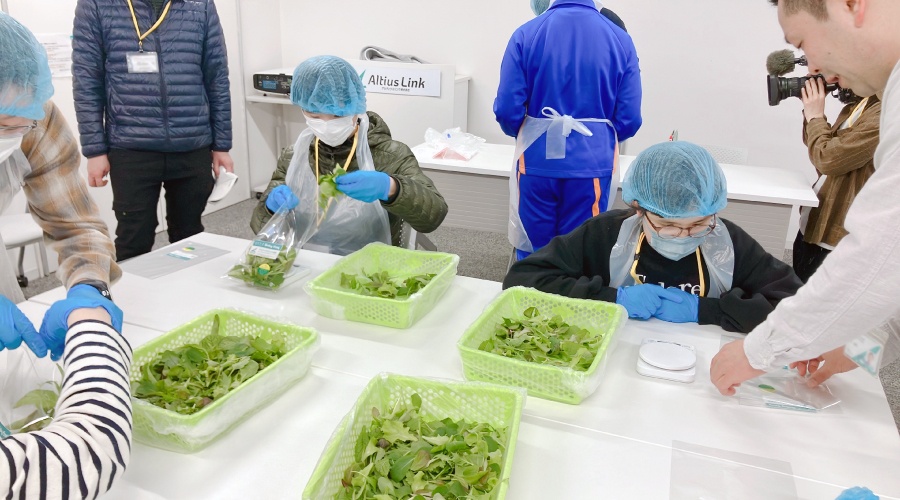 ＜袋詰めしたベビーリーフはお土産として参加者の皆様にお持ち帰りいただきました！＞