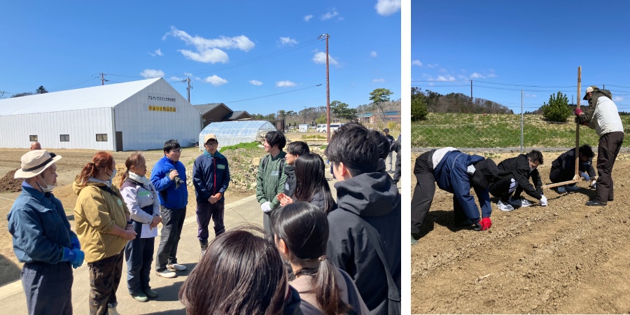 ＜野蒜農園のスタッフと新入社員それぞれ自己紹介／畝に定植するための穴を等間隔で空けていきます＞