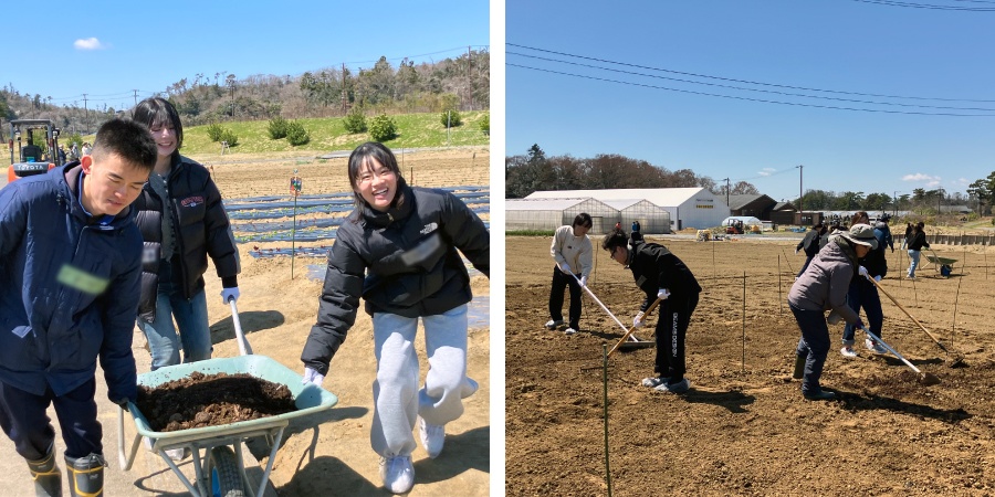 ＜みんなで協力して堆肥を運搬／栄養たっぷりの堆肥を散布＞