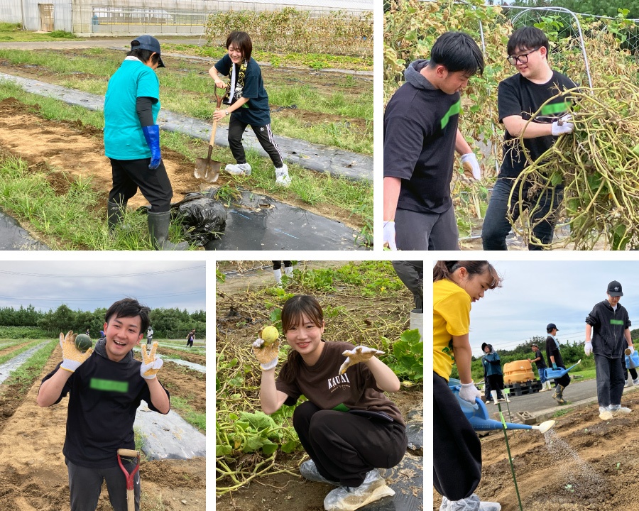 ＜ 収穫後の畝の片付け／小さなカボチャが残っていました／苗にやさしく液肥をかけます ＞