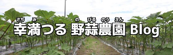 幸満つる 野蒜農園 公式ブログ
