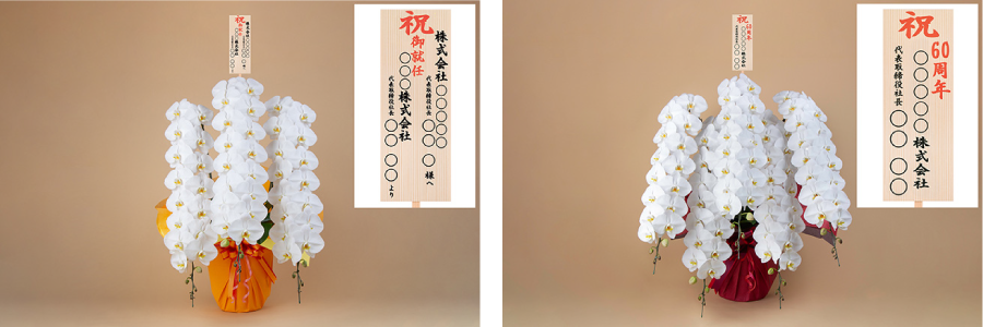 ＜3本立ち45輪以上 税込み36,300円（左） / 5本立ち75輪以上 税込み60,500円＞